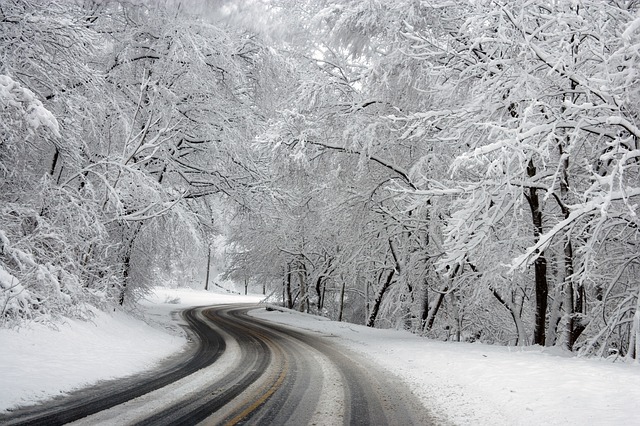 drive in the snow like a pro