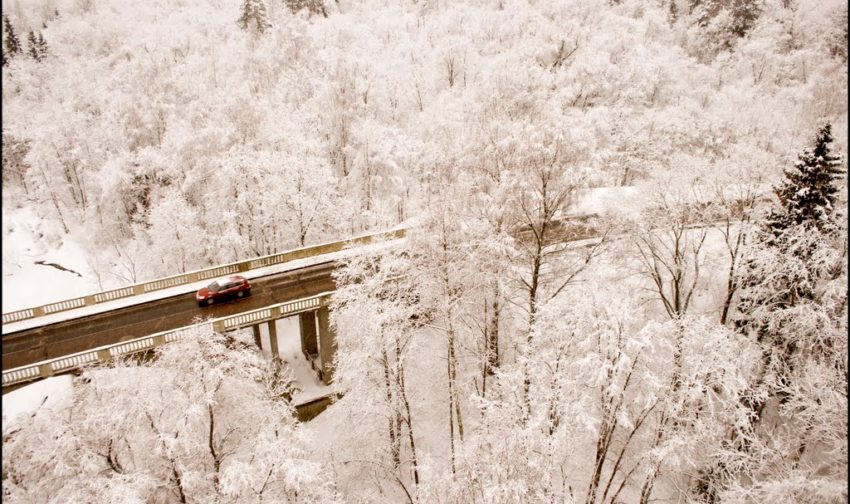 gauja national park