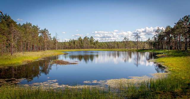 why we love estonia