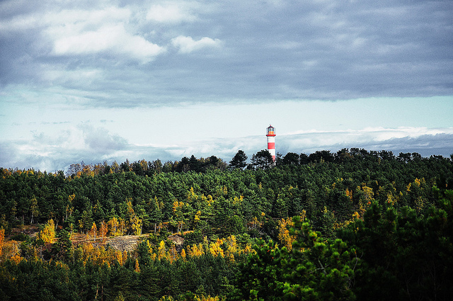 Baltic Run -The Baltics: Mostly Trees - Baltic